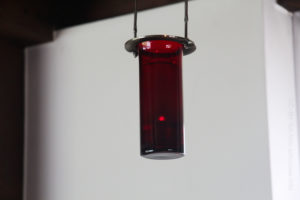 Kuratie: Ewiges Licht