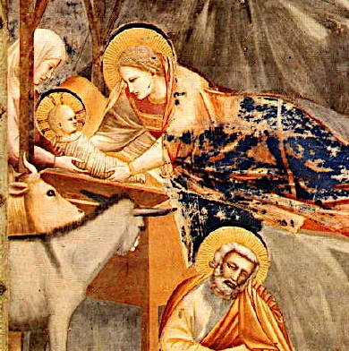 Weihnachtsgruß von Pfarrer Nikolaus Wurzer