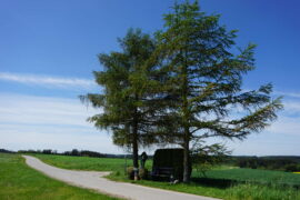 Christophorus-Pilger wallfahren am 9. Mai nach St. Franziskus