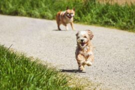 Was tun, wenn mich ein Hauch von Depression umschleicht?